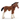 Clydesdale Foal