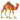 Dromedary